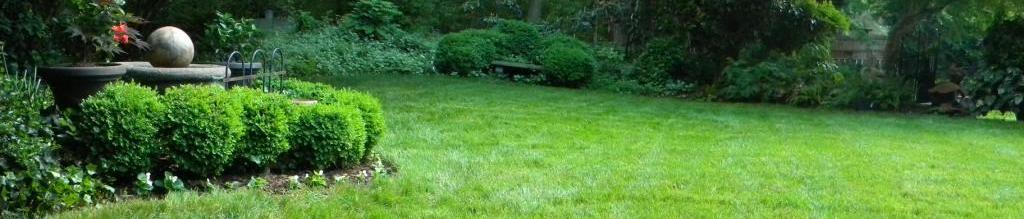 sc performs landscaping in greenville sc lawn care in greenville sc ...